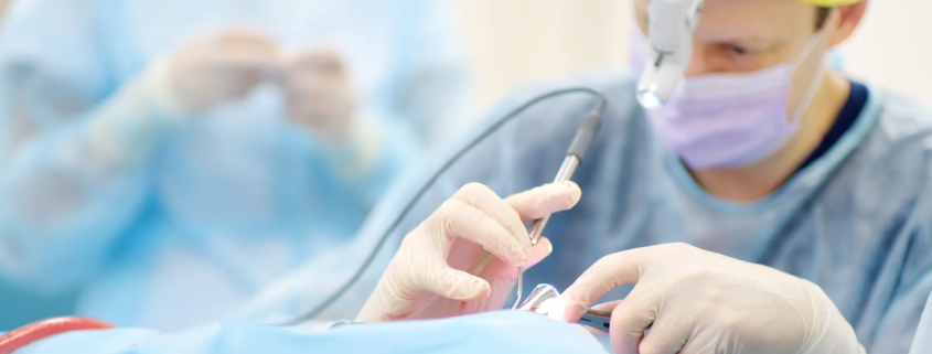 dentiste en pleine opération
