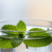 Gencive enflammée : que faire dans les 48 heures ?