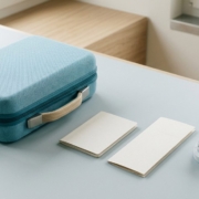 Petite valise de voyage, carnet et modèle dentaire sur fond clair