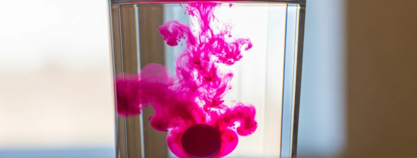 Plaque dentaire : définition, formation, élimination (guide complet)